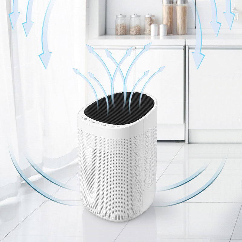 Semiconductor air purifier