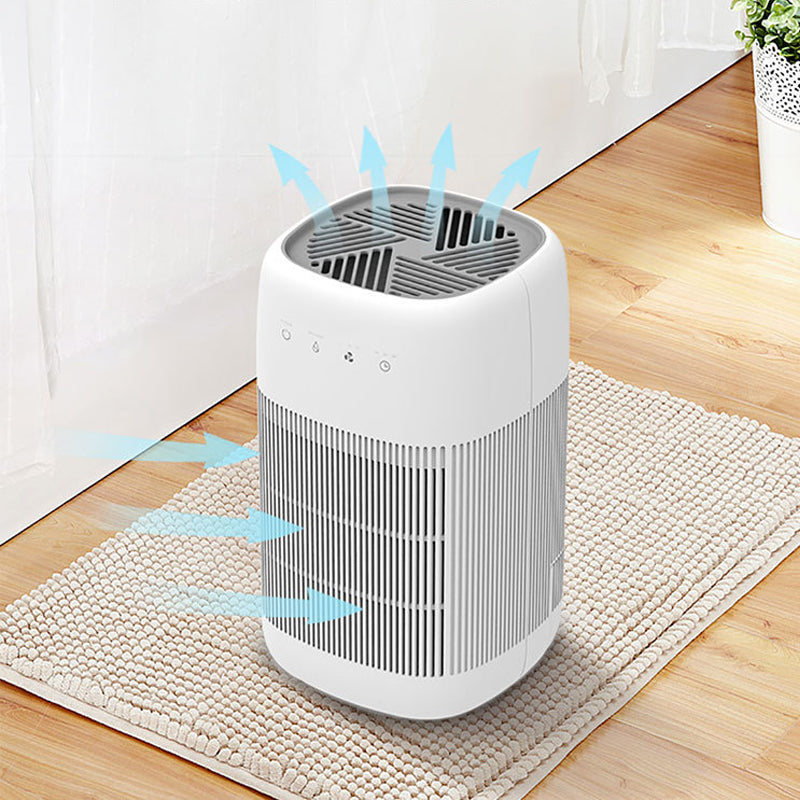 Small household air purifier