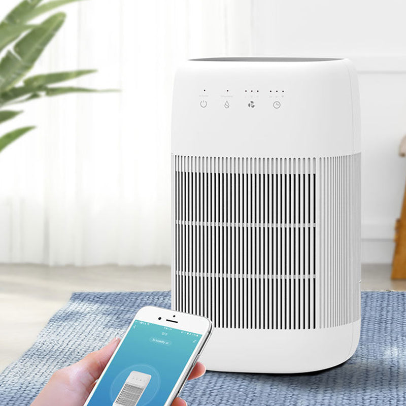 Small household air purifier